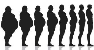 Как похудеть на правильном питании - принципы и рацион, разрешенные продукты Основные правила здорового питания для похудения